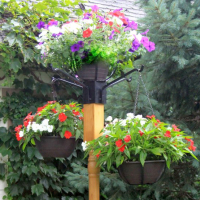 Hanging Plant Baskets